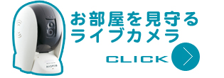 お部屋を見守るライブカメラ