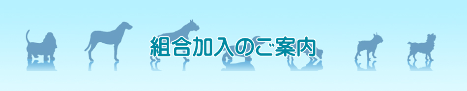 組合加入のご案内